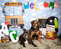 The Barking Lot- Back to School